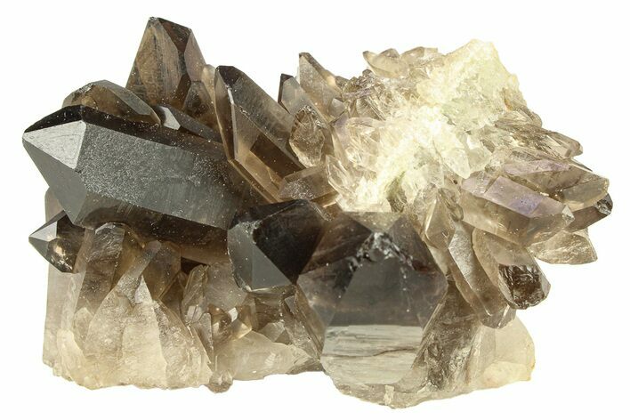 Dark Smoky Quartz Crystal Cluster - Brazil #302129